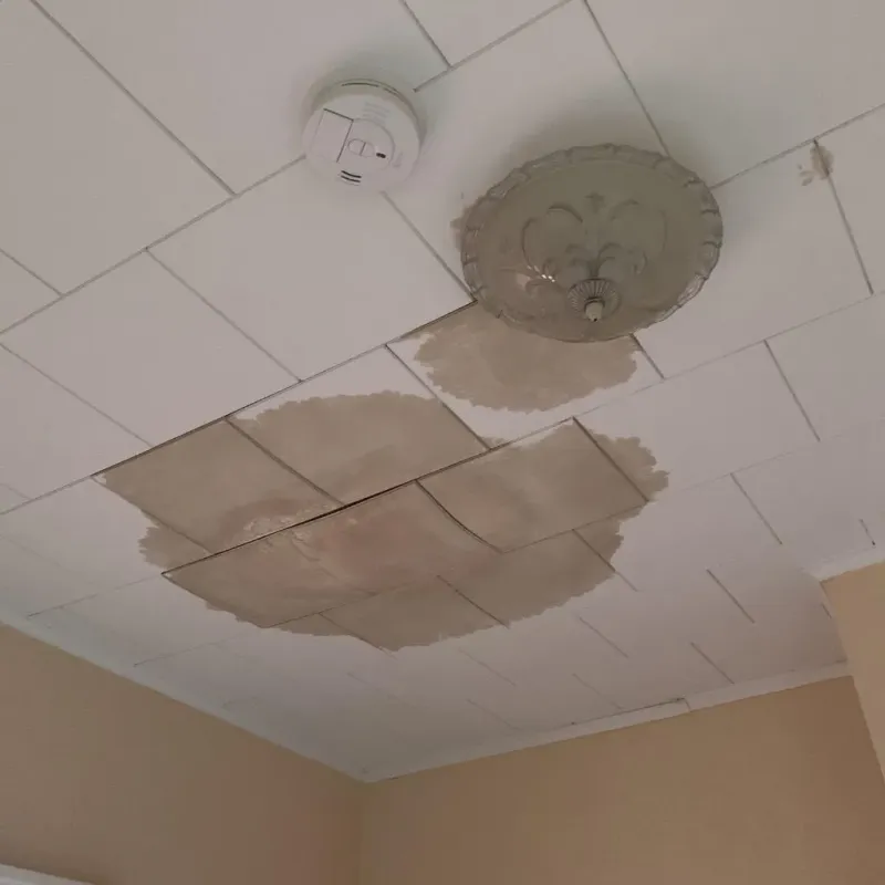 Ceiling Water Damage Repair in Cumberland, IN
