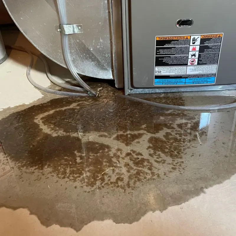 Pipe Burst and Leak Restoration in Cumberland, IN